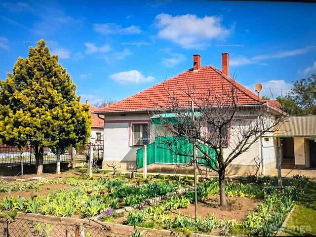 Eladó ház Jászszentandrás 163 nm