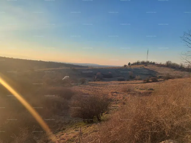 Eladó mezőgazdasági ingatlan Nyergesújfalu 302383 nm