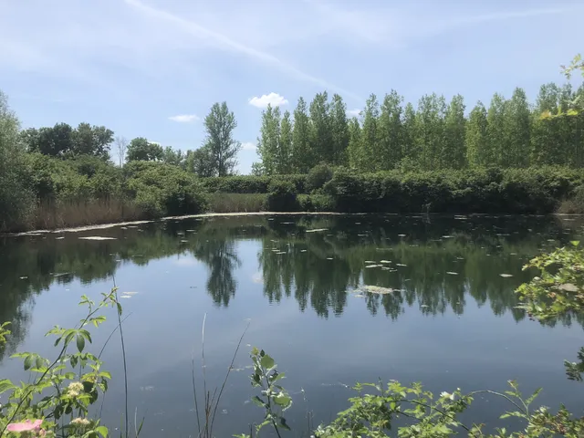 Eladó ház Károlyháza 4900 nm