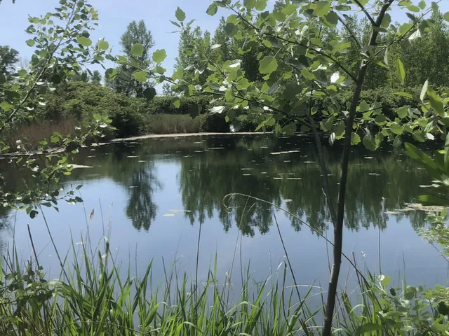 Eladó ház Károlyháza 4900 nm