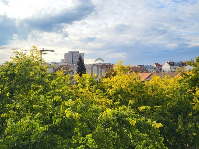 Eladó lakás Budapest VIII. kerület, Diószegi Sámuel utca 35 nm