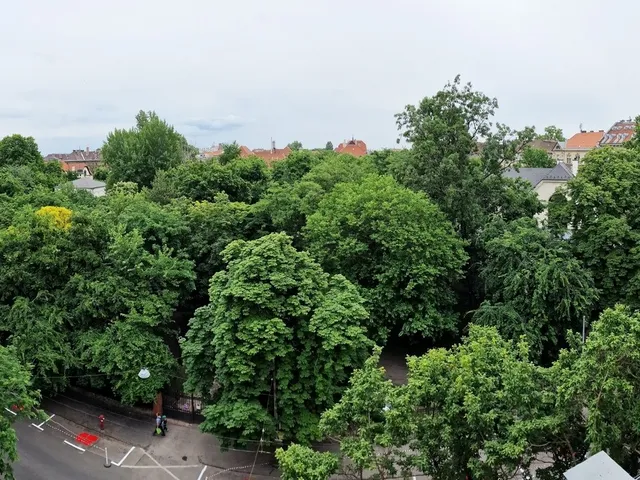 Kiadó lakás Budapest VI. kerület 86 nm