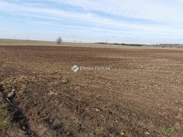 Eladó telek Fót, Alagi utca 22000 nm