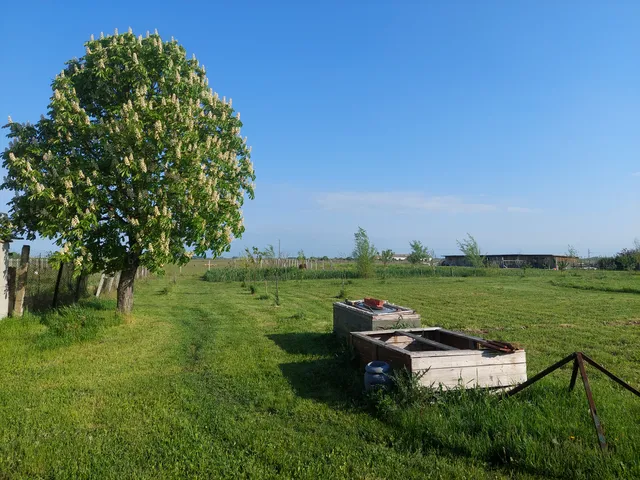 Eladó ház Kisköre, Árpád vezér út 75 nm