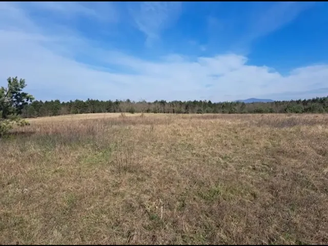 Eladó mezőgazdasági ingatlan Csomád 886 nm