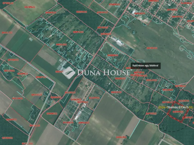 Eladó mezőgazdasági ingatlan Tóalmás 126500 nm