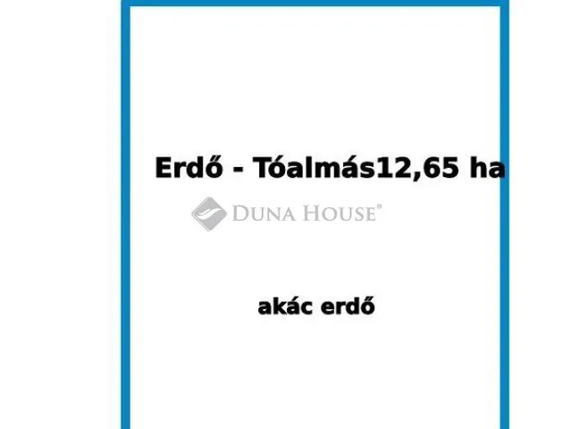 Eladó mezőgazdasági ingatlan Tóalmás 126500 nm