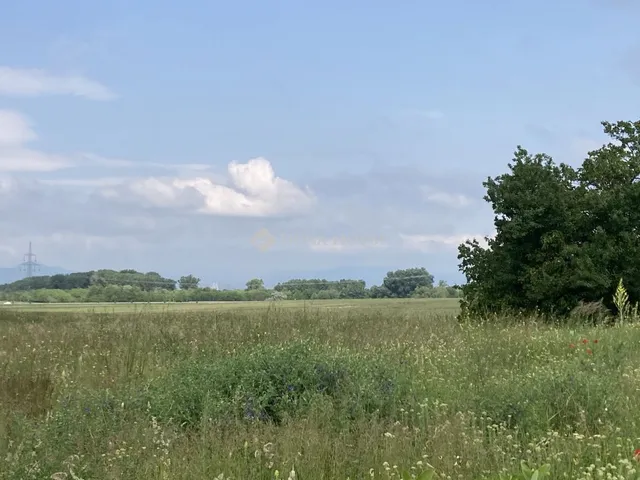 Eladó telek Csömör, Csalogány utca 2433 nm