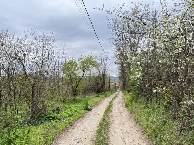 Eladó telek Bag 978 nm