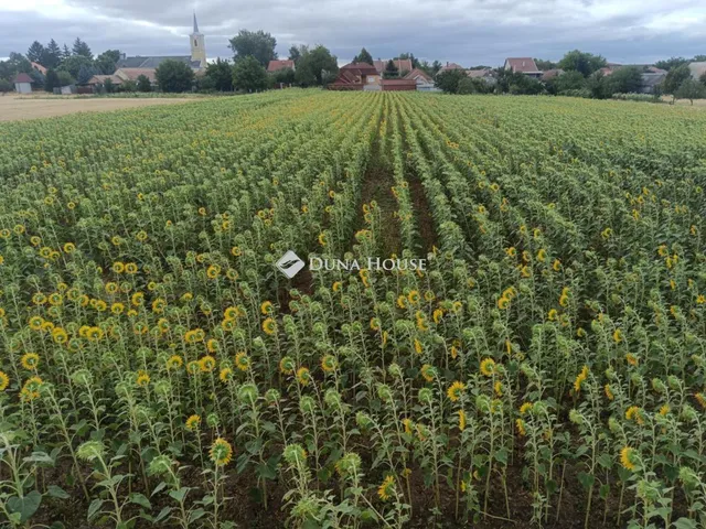 Eladó telek Kartal, Akácfa út 1503 nm