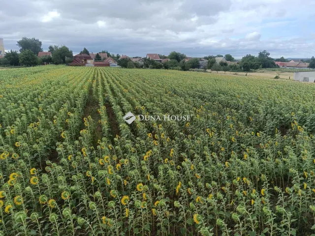 Eladó telek Kartal, Akácfa út 1503 nm