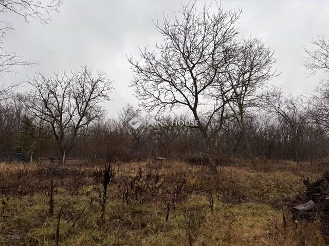 Eladó telek Őrbottyán 726 nm