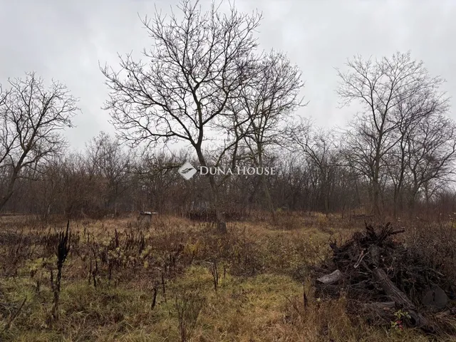 Eladó telek Őrbottyán 728 nm