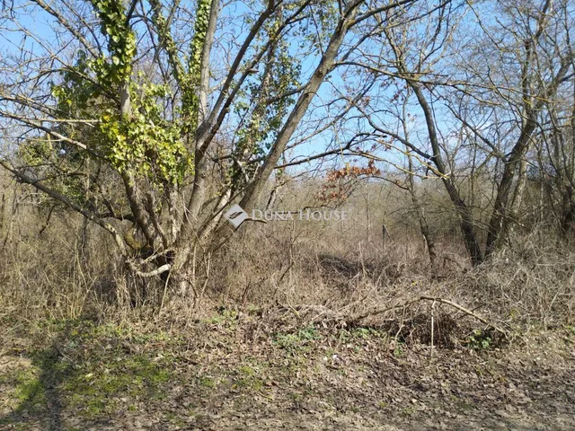 Eladó telek Őrbottyán 9858 nm