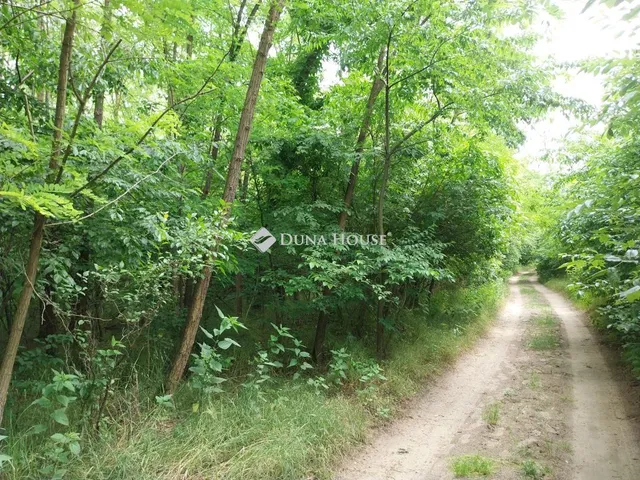 Eladó mezőgazdasági ingatlan Vasad 95866 nm