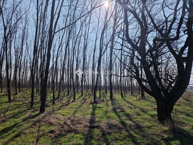 Eladó mezőgazdasági ingatlan Vasad 34808 nm