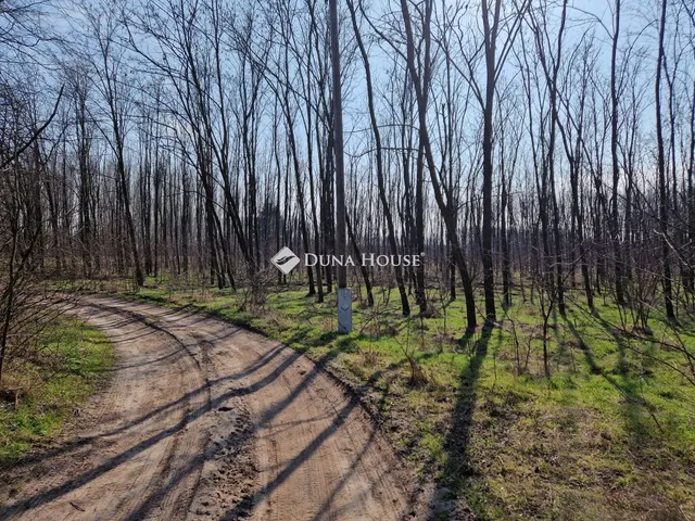 Eladó mezőgazdasági ingatlan Vasad, Külterület 34808 nm