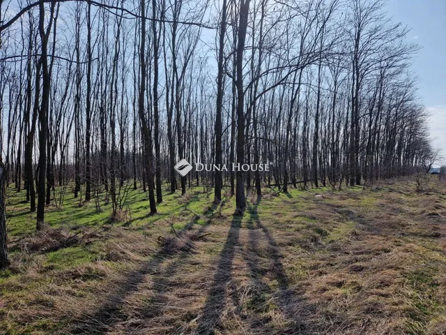 Eladó mezőgazdasági ingatlan Vasad, Külterület 34808 nm