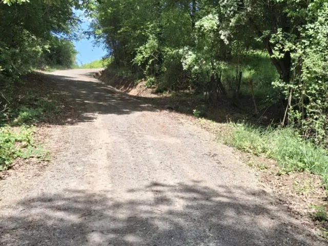Eladó mezőgazdasági ingatlan Parád 2600 nm