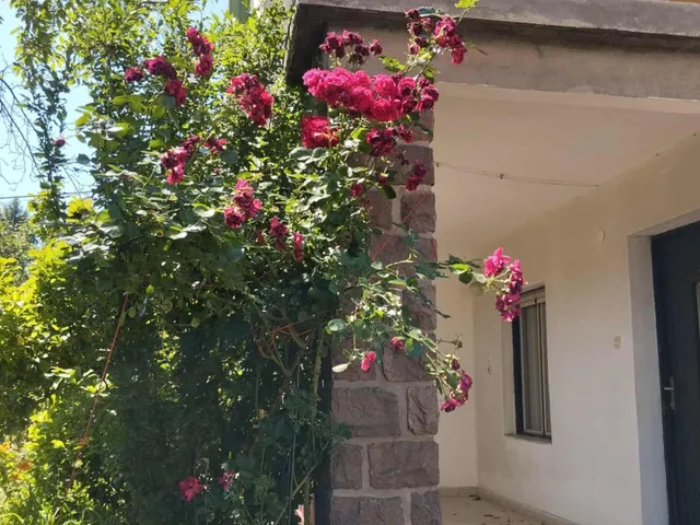 Eladó ház Parád 86 nm