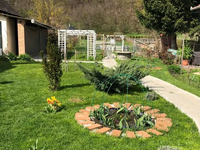 Eladó ház Parád 100 nm