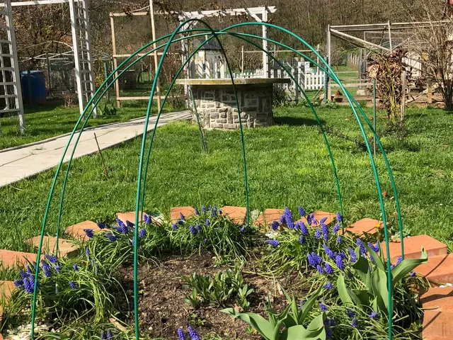 Eladó ház Parád 100 nm