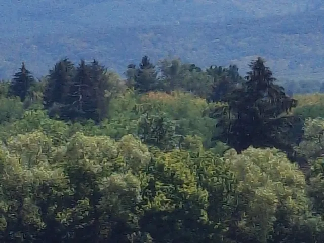 Eladó telek Recsk 6334 nm