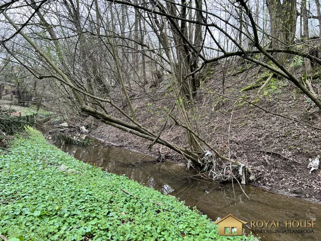 Eladó ház Miskolc, Bábonyibérc 50 nm