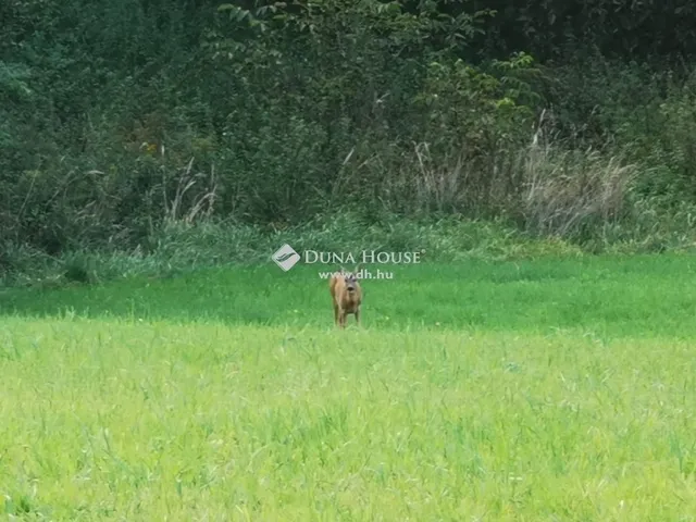 Eladó ház Felsőmarác 105 nm