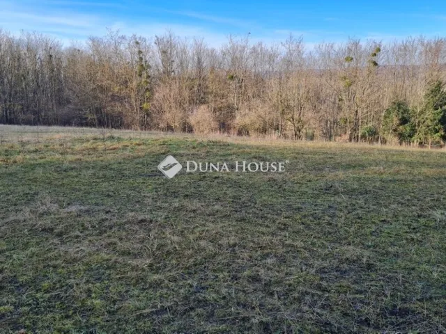 Eladó ház Boncodfölde 80 nm