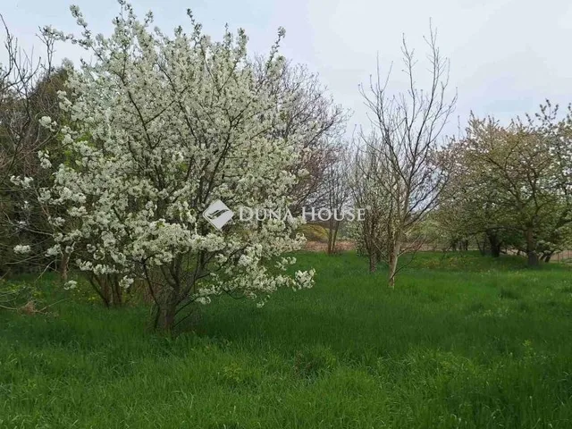 Eladó ház Győrvár 135 nm