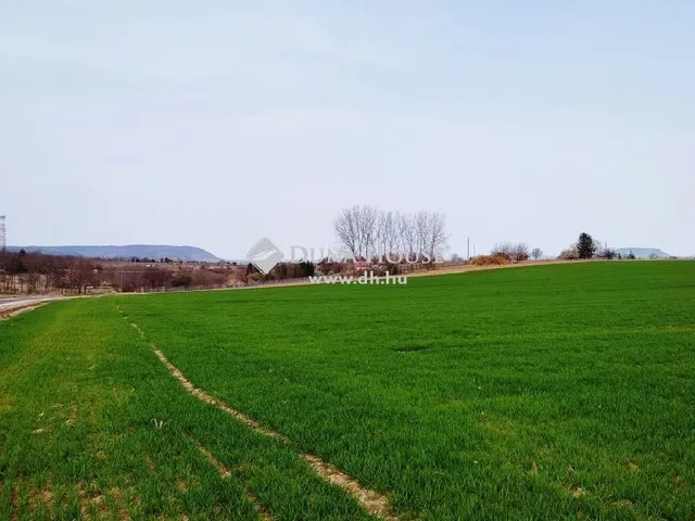 Eladó mezőgazdasági ingatlan Balatonkeresztúr 2708 nm