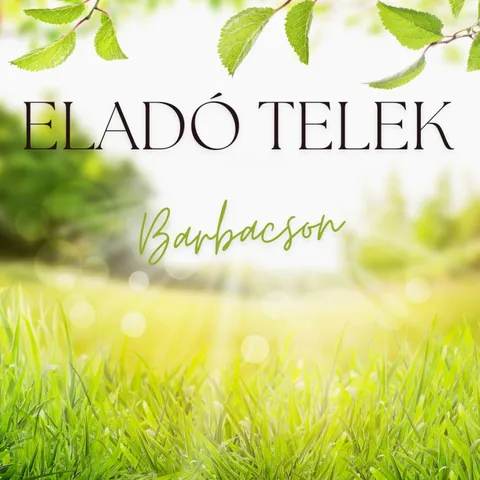 Eladó telek Barbacs 3000 nm