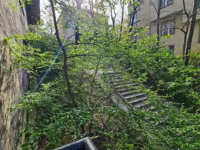 Kiadó lakás Budapest II. kerület, Országút, foriint 40 nm