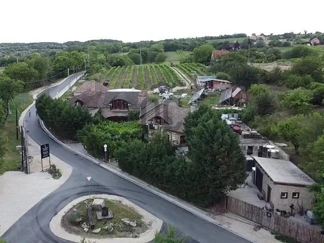 Eladó kereskedelmi és ipari ingatlan Etyek 7000 nm