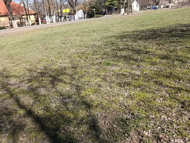 Eladó telek Hajdúböszörmény, Bodaszőlő 2638 nm