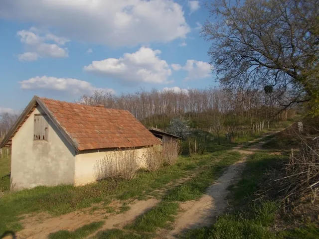 Eladó mezőgazdasági ingatlan Vanyola 15000 nm