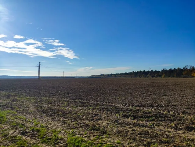 Eladó mezőgazdasági ingatlan Berhida 64967 nm