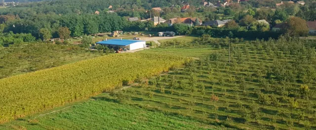 Eladó mezőgazdasági ingatlan Csikvánd 250000 nm