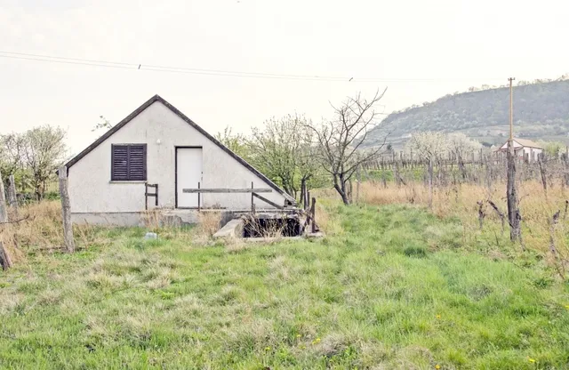 Eladó mezőgazdasági ingatlan Doba 3800 nm