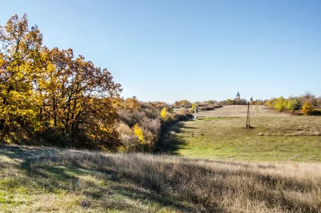 Eladó kereskedelmi és ipari ingatlan Szentkirályszabadja 11185 nm