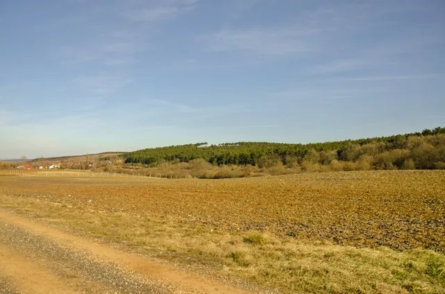 Eladó mezőgazdasági ingatlan Litér 17550 nm