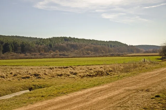 Eladó mezőgazdasági ingatlan Litér 17550 nm