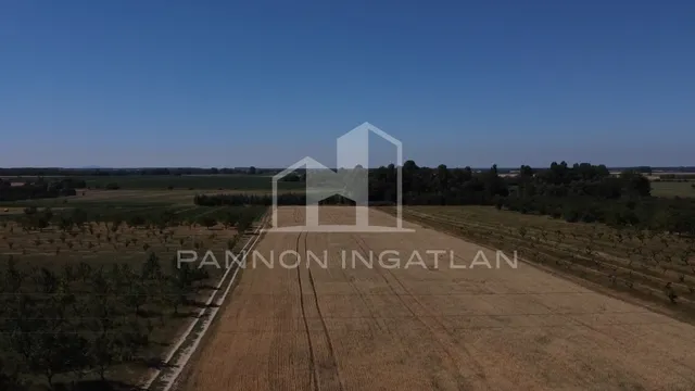 Eladó mezőgazdasági ingatlan Csikvánd 143734 nm
