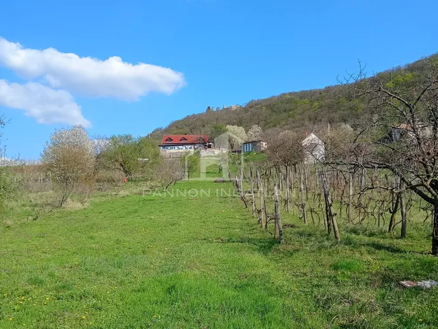 Eladó telek Somlószőlős 1702 nm