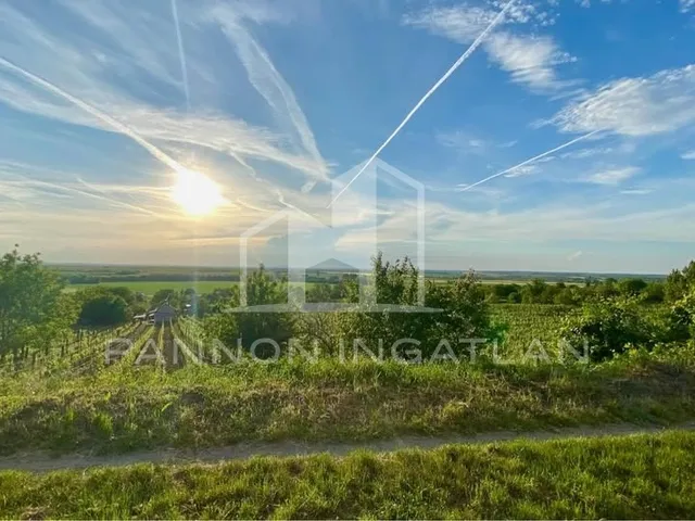 Eladó telek Somlószőlős 1702 nm