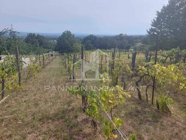 Eladó mezőgazdasági ingatlan Magyarpolány 3718 nm