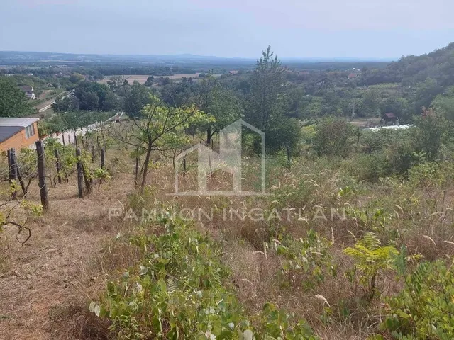 Eladó mezőgazdasági ingatlan Magyarpolány 3718 nm