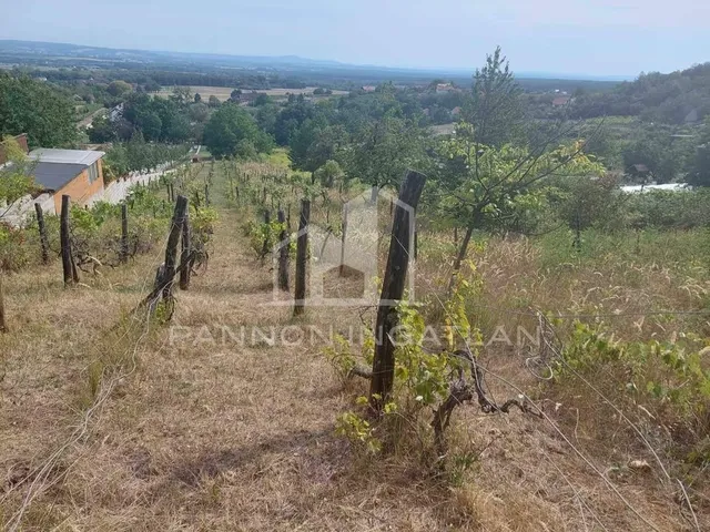 Eladó mezőgazdasági ingatlan Magyarpolány 3718 nm