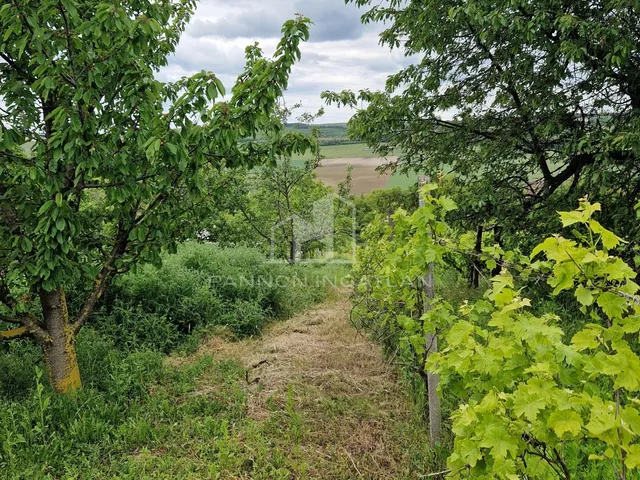 Eladó telek Iszkaszentgyörgy 1100 nm